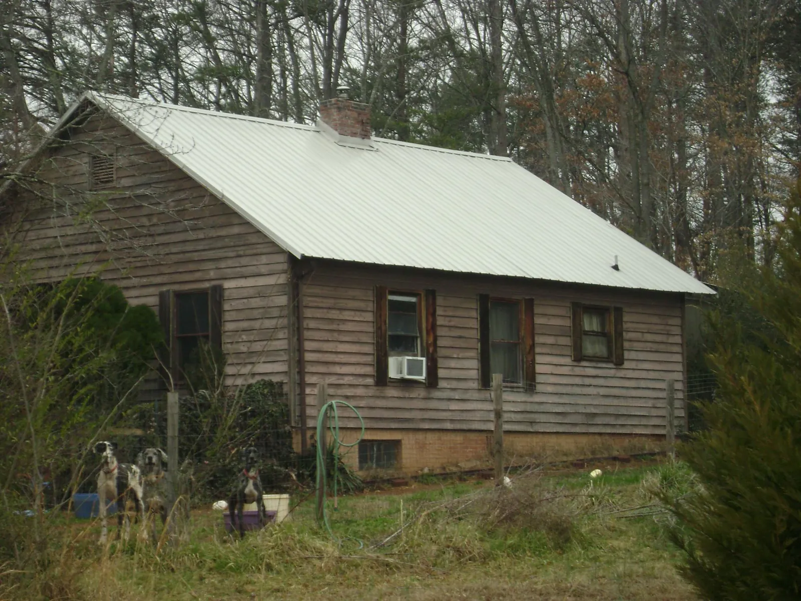 White metal roof on an old wood sided farmhouse, from a Asphalt Shingle Roof Repair job in Goleta